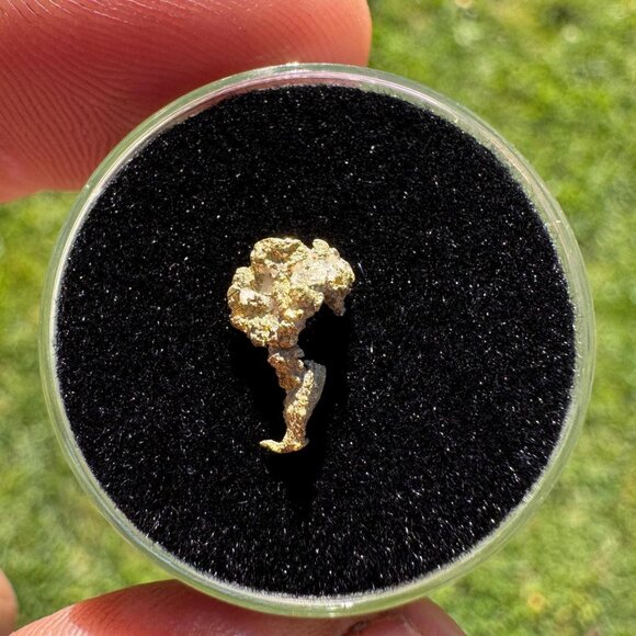 California Gold Crystal - 0.43 grams - Picture 2 of 4